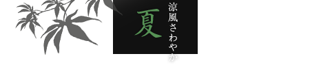涼風さわやか 夏