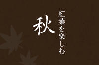 紅葉を楽しむ 秋