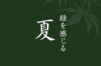 緑を感じる 夏